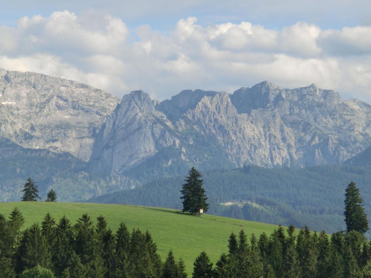 Apartment In Lechbruck Bavaria With Garden Cameră foto
